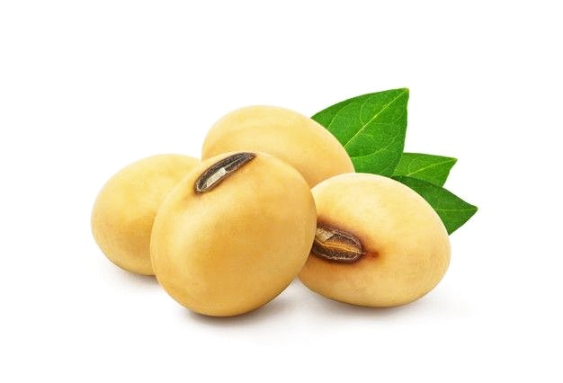 Bulk Iranian Soybeans Wholesale Supply for African Union Food Security Stockpiles; Affordable Prices & Efficient Logistics